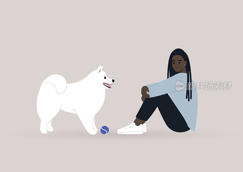 A cute white samoyed dog playing ball with their owner, human and animal friendship